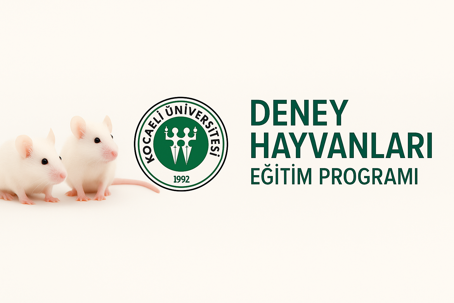 Deney Hayvanlari Kullanimi Eğitimi